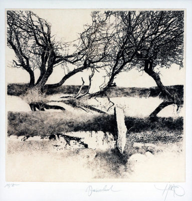 herzog walter 257 94 wasserland