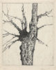 koehler stephan 163 92 baum